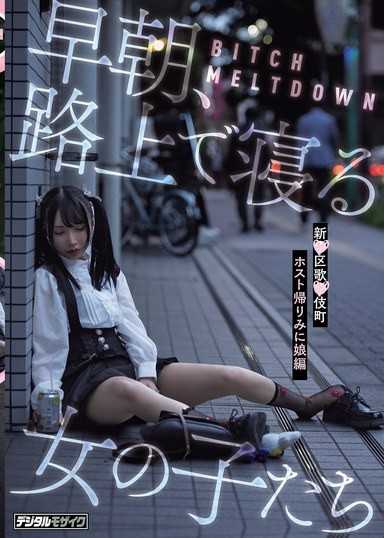 BITCH MELTDOWN 凌晨、在路上睡觉的女孩们 新宿歌舞伎町牛郎店回家篇
