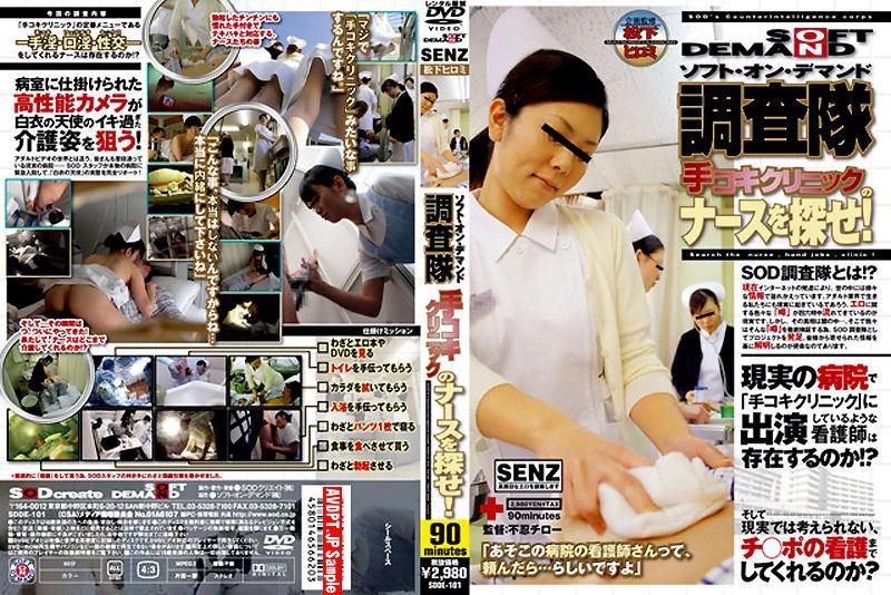 SOFT ON DEMAND Investigative Committee