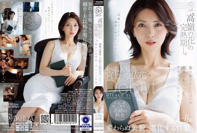 DLDSS-528 作品封面